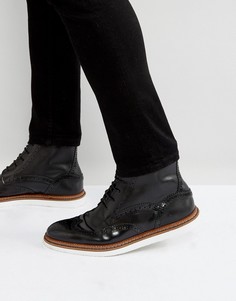 Черные кожаные ботинки на шнуровке House Of Hounds - Черный