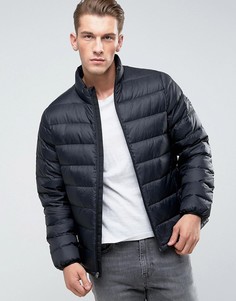 Черная стеганая куртка Abercrombie & Fitch - Черный