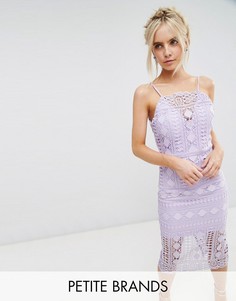 Кружевное платье миди с V-образным вырезом на спине Chi Chi London Petite - Фиолетовый