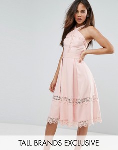 Приталенное платье с высоким воротом и кружевными вставками True Decadence Tall Premium - Розовый