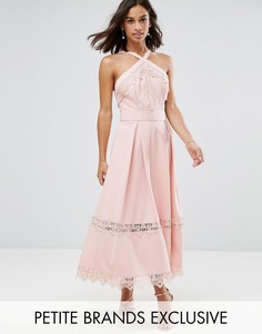 Короткое приталенное премиум-платье для выпускного с контрастными кружевными вставками True Decadence Petite - Розовый