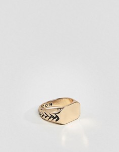 Золотистое кольцо-печатка Icon Brand - Золотой