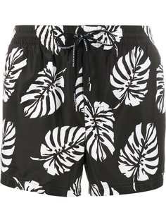 шорты для плавания с принтом пальмовых веток Dolce & Gabbana