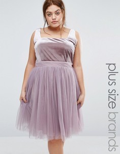 Приталенное платье с бархатным лифом и тюлевой юбкой Little Mistress Plus - Фиолетовый