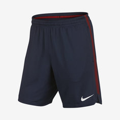 Мужские футбольные шорты Paris Saint-Germain Squad Nike