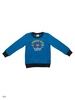 Категория: Свитшоты Sago Kids i Ant Domain