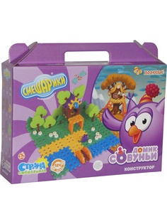 Конструкторы Полесье.