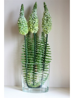 Искусственные растения Интерьерный штрих