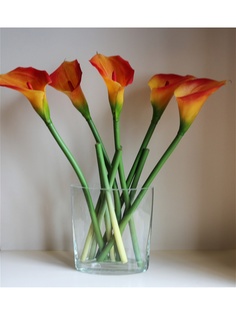 Искусственные растения Интерьерный штрих