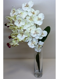 Искусственные растения Интерьерный штрих