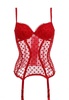 Категория: Корсеты Agent Provocateur