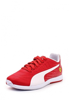 Кроссовки Puma evoSPEED SL SF Jr
