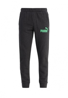 Брюки спортивные Puma ESS No.1 Sweat Pants, TR, cl