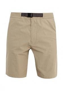 Шорты Nike M NK SB FLX EVRT SHORT