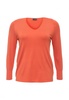Категория: Пуловеры женские Samoon by Gerry Weber