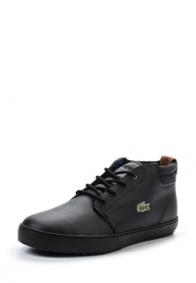 Кеды Lacoste AMPTHILL TERRA 317 1