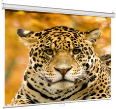 Экран Lumien Eco Picture LEP-100101 150x150cm
