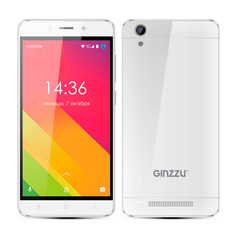 Сотовый телефон Ginzzu S5120 White