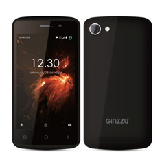 Сотовый телефон Ginzzu S4030 Black