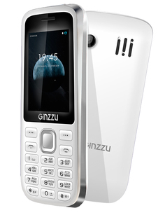 Сотовый телефон Ginzzu M201 White-Gray