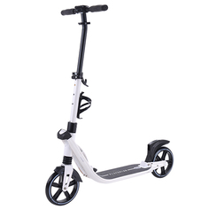 Самокат Playshion Moonshine White