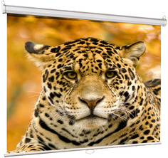 Экран Lumien Eco Picture LEP-100105 160x160cm Matte White