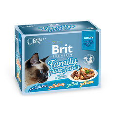 Корм Brit Premium Family Plate Gravy Семейная тарелка 85g для кошек 519422 Brit*