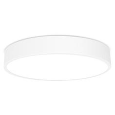 Светильник Xiaomi Mi Yeelight Smart LED Ceiling Lamp YLXD01YL