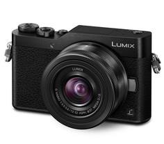 Фотоаппарат Panasonic Lumix DC-GX800 Kit 12-32 mm