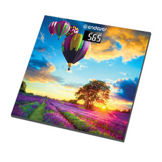 Весы Endever Aurora-551