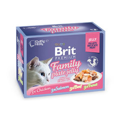 Корм Brit Premium Family Plate Jelly Семейная тарелка 85g для кошек 519408 Brit*