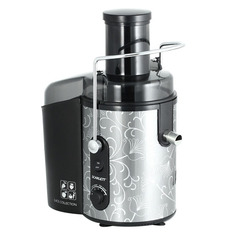 Соковыжималка Scarlett SC-JE50S12