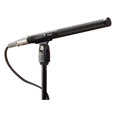 Микрофон Audio-Technica BP4029
