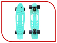 Скейт Y-SCOO Skateboard Fishbone 22 Aqua-Black 405-A