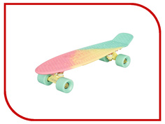 Скейт Ridex Malibu 22
