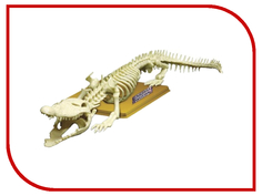 Игра Eastcolight Скелет крокодила 28202
