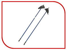 Палки Big Game Nordic Challenge 115cm 82850