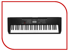 Синтезатор Ringway TB100