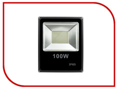 Лампа SWGroup FL-SMD-100-CW 6500К