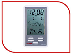 Термометр Rexant 70-0519