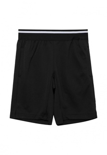 Шорты спортивные adidas Performance YB TR COOL SH
