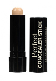 Корректор Eva Mosaic Тональный для лица Perfect Concealer Stick, 4,5 г