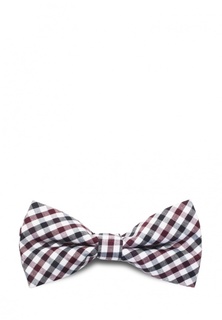 Бабочка Stefano Danotelli