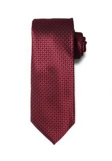 Галстук Stefano Danotelli