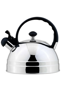 Чайник Regent Inox