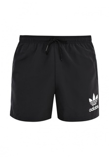 Шорты для плавания adidas Originals CLFN SWIMSHORTS