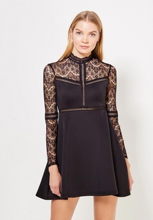 Платье LOST INK PANELLED LACE FIT AND FLARE DRESS