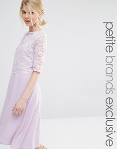 Короткое приталенное платье с кружевным топом и рукавами John Zack Petite - Фиолетовый