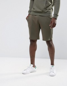 Трикотажные шорты цвета хаки New Look - Зеленый