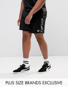 Черные шорты в стиле ретро Puma PLUS эксклюзивно для ASOS 57658003 - Черный